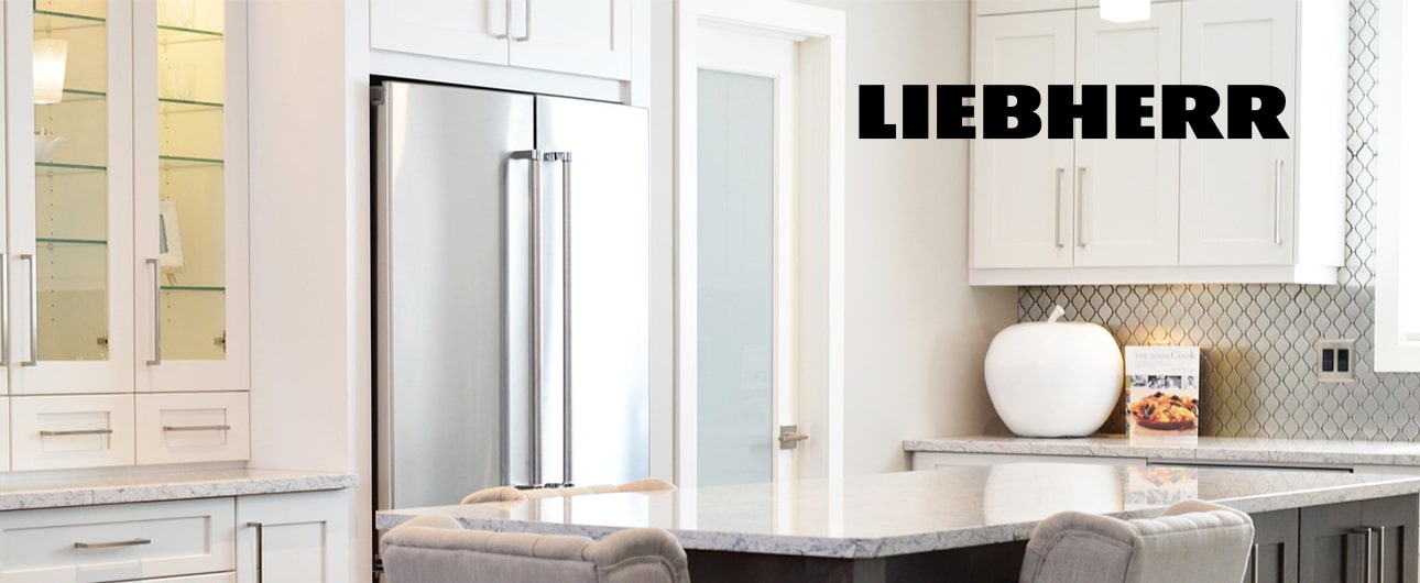 Liebherr Refrigerator Repair in Dubai UAE